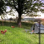 Penny End, Mosser - Western Lakes And Great Walks *