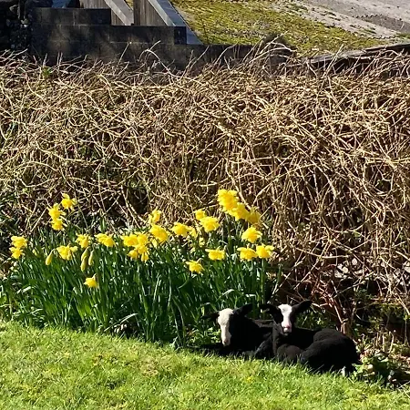 Holiday home Penny End, Mosser - Western Lakes And Great Walks *