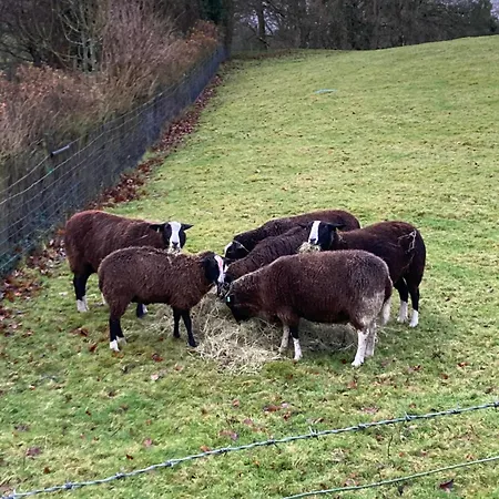 Penny End, Mosser - Western Lakes&great Walks